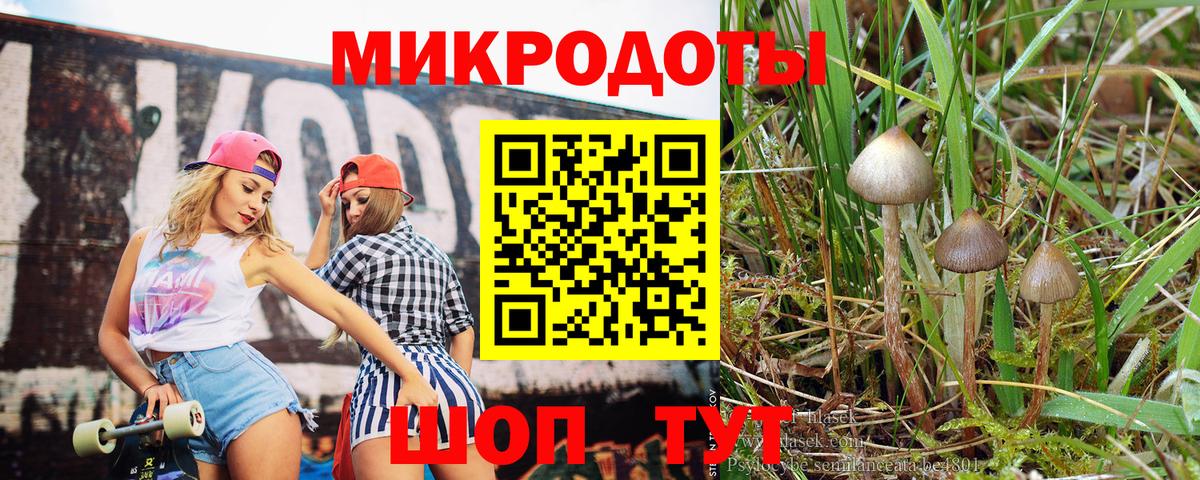 Галлюциногенные грибы ЛСД Грозный